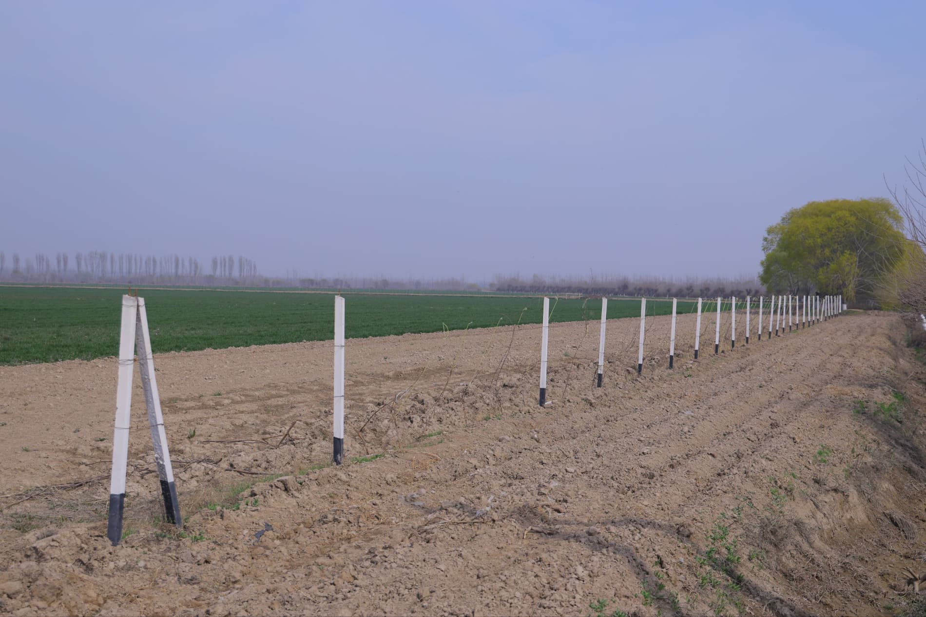 ПОП ТУМАНИДА БАҲОРГИ АГРОТЕХНИК ИШЛАРНИНГ БОРИШИ ЎРГАНИЛДИ