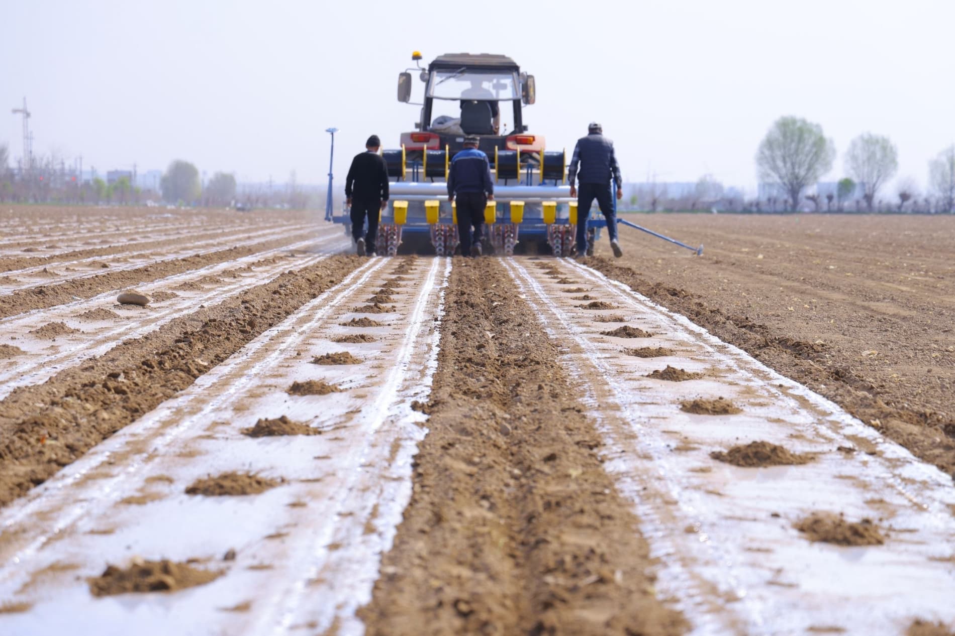 Чигит экиш мавсумини тез ва сифатли ташкил этишга бағишланган вилоят семинари бўлиб ўтди.