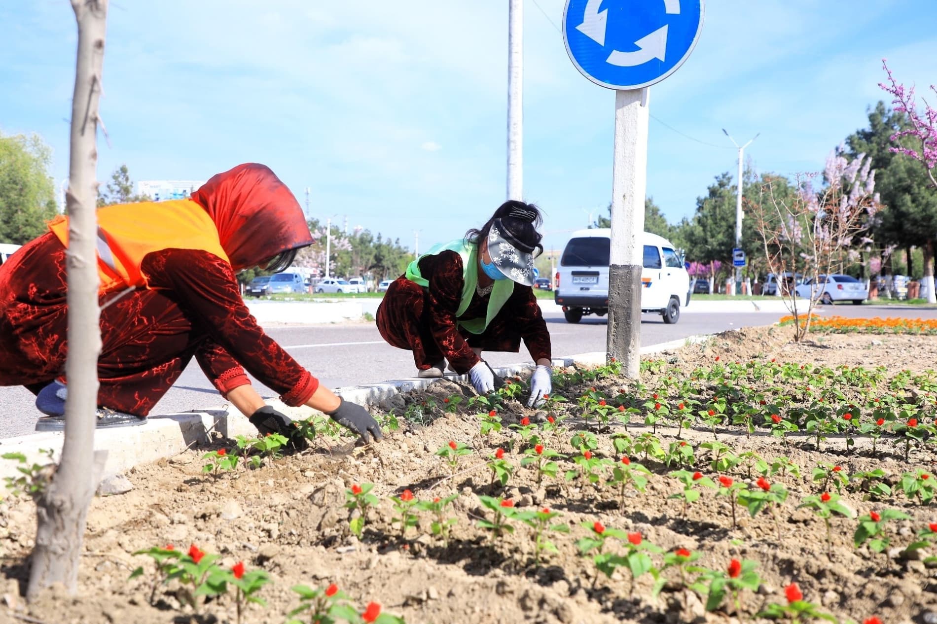 Поп гуллар ифорига бурканмоқда: 65 йиллик фестивалга тайёргарлик бошланди