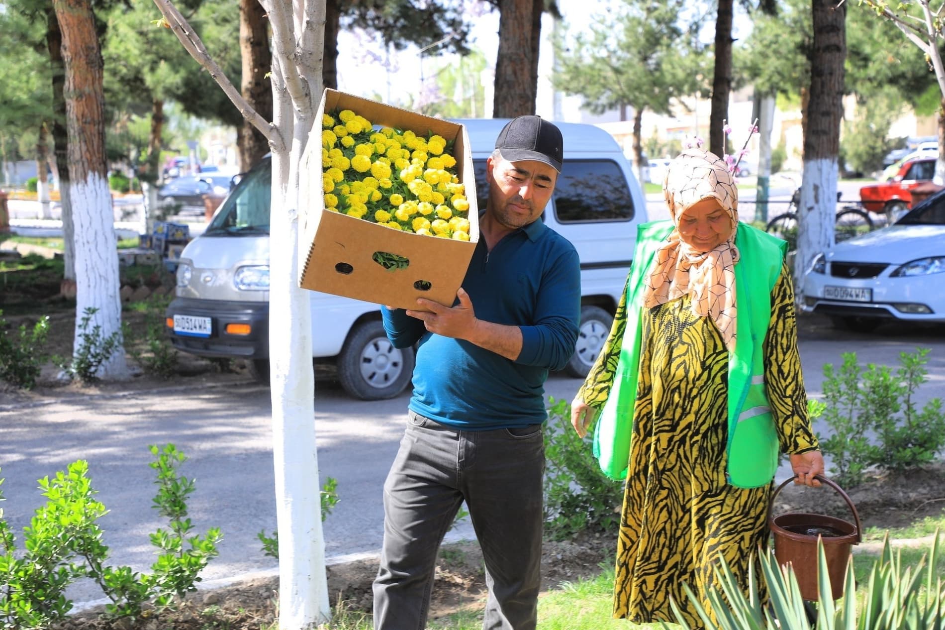 Поп гуллар ифорига бурканмоқда: 65 йиллик фестивалга тайёргарлик бошланди