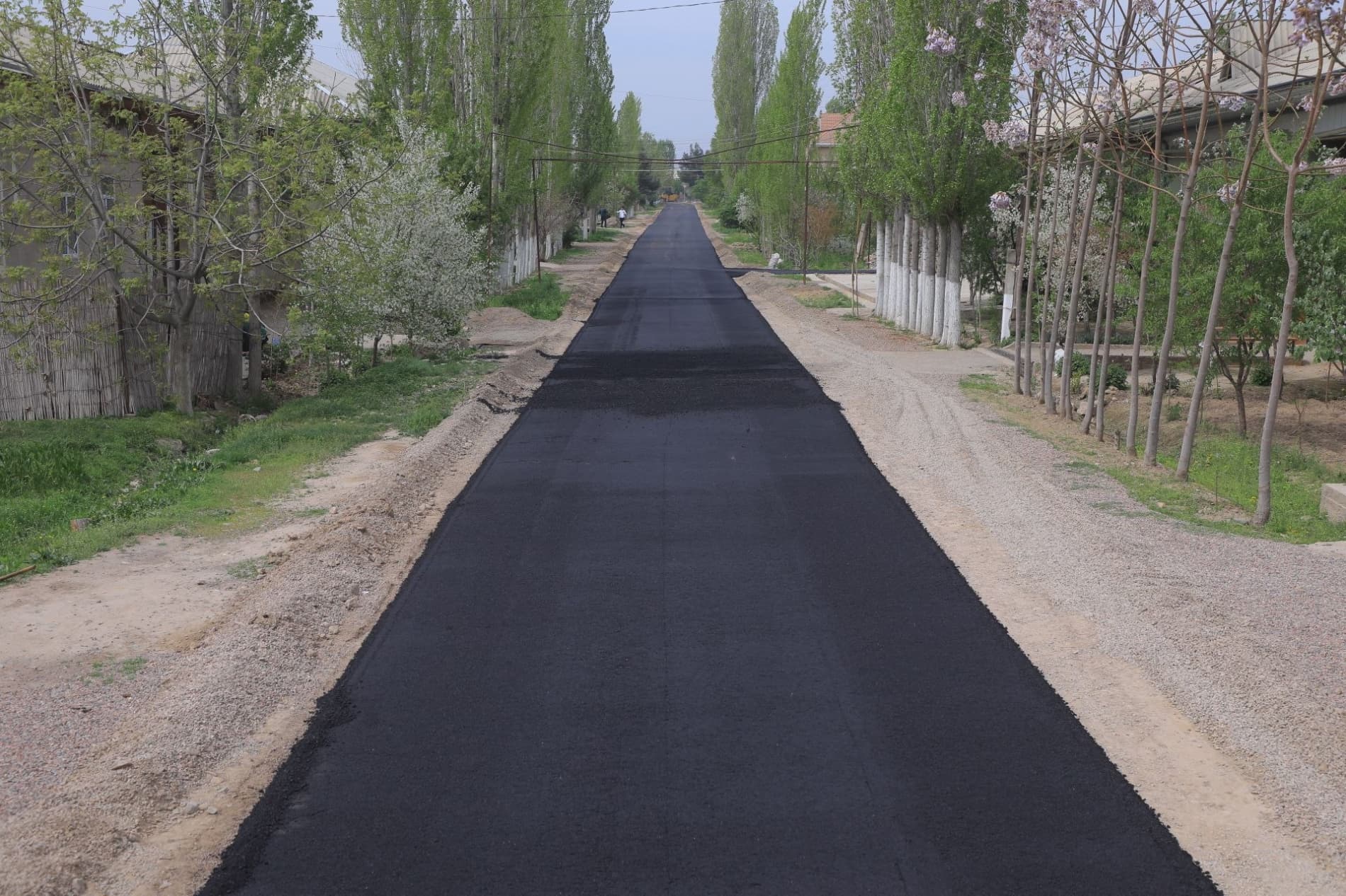 Popda yana bir mahalla zamonaviy qiyofa kasb etmoqda!