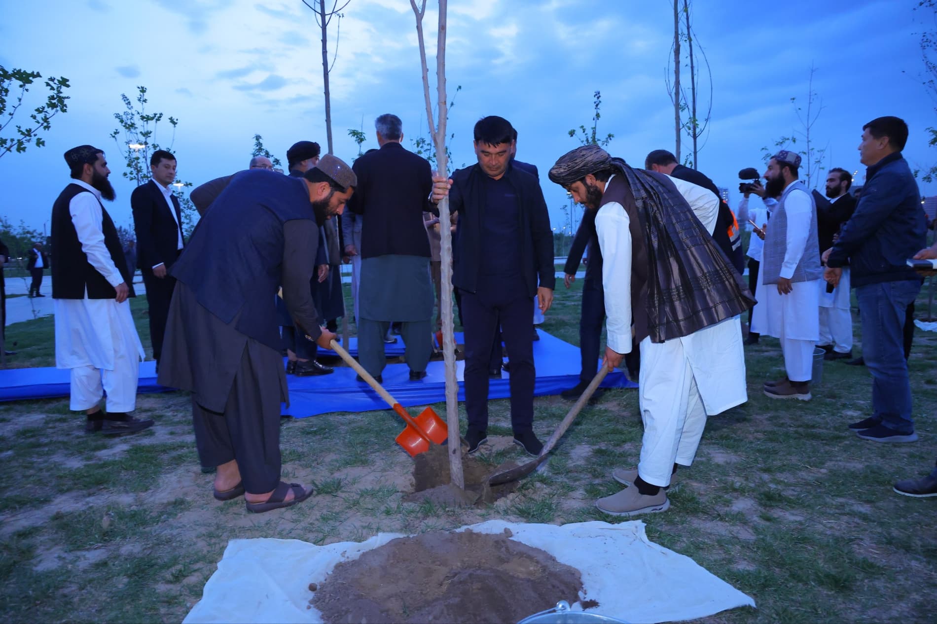 Davlatobodda doʻstlik va hamkorlik ramzi sifatida daraxt ekildi