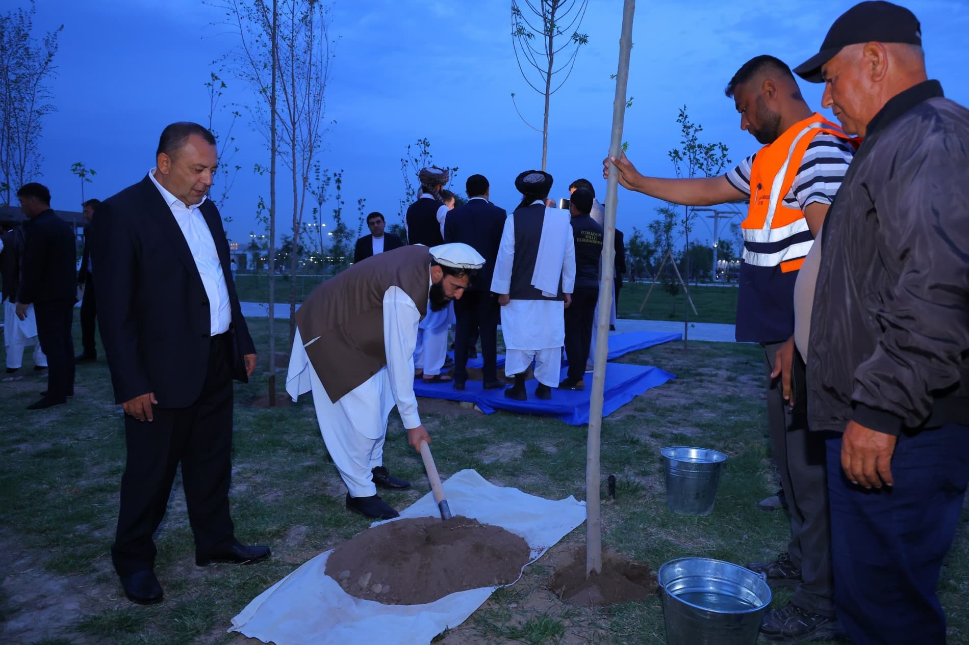 Davlatobodda doʻstlik va hamkorlik ramzi sifatida daraxt ekildi