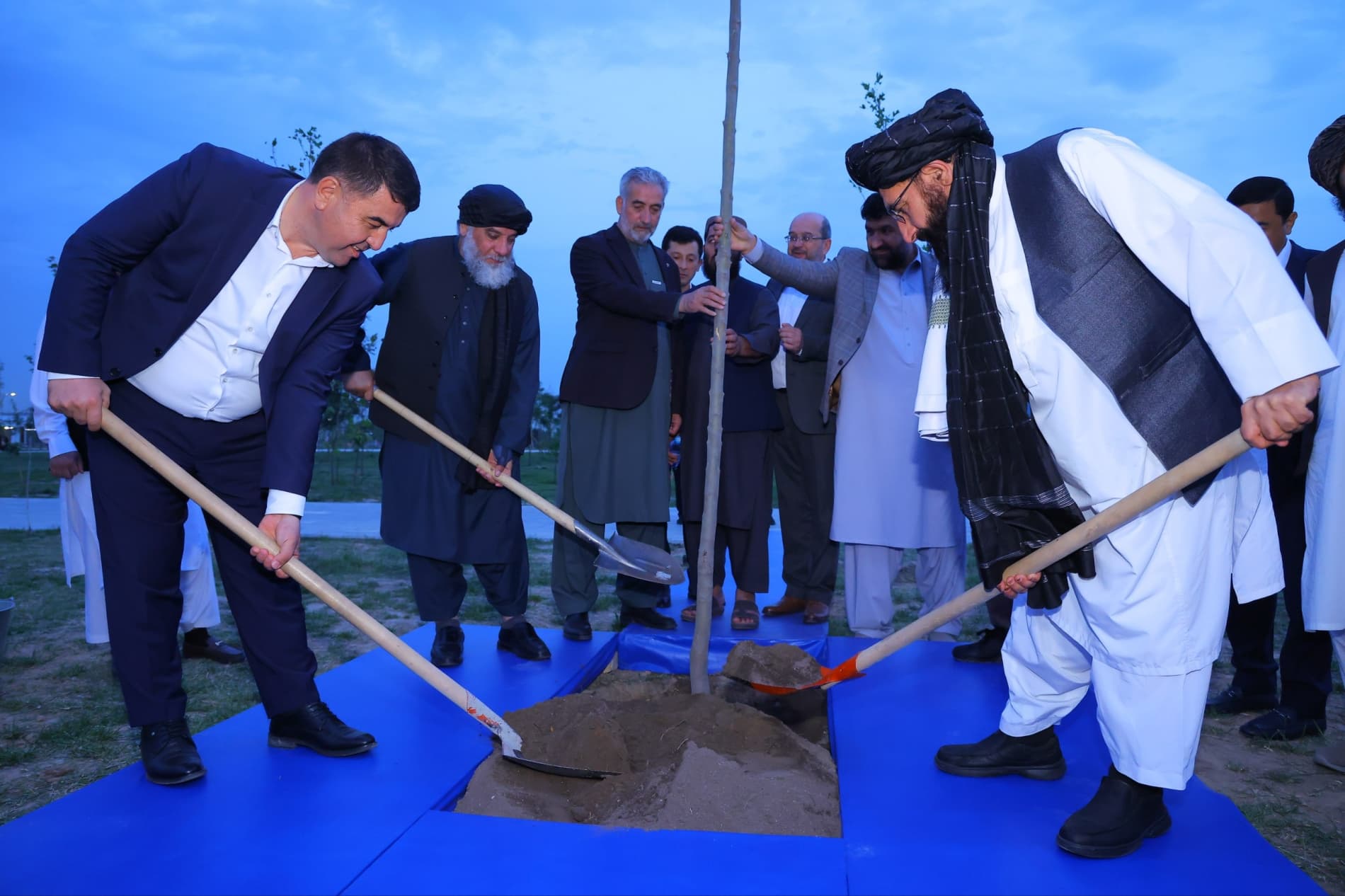 Davlatobodda doʻstlik va hamkorlik ramzi sifatida daraxt ekildi