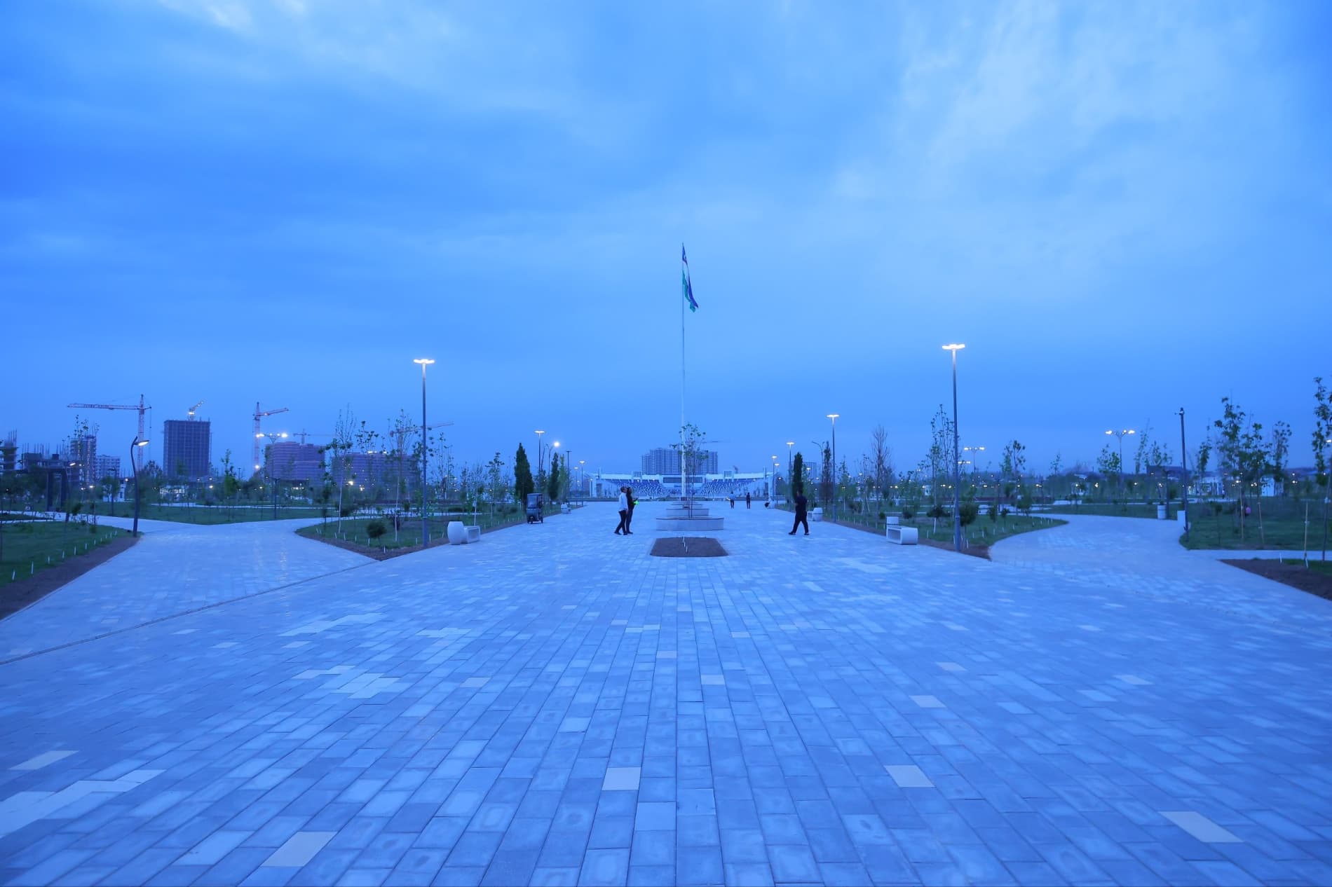 Davlatobodda doʻstlik va hamkorlik ramzi sifatida daraxt ekildi