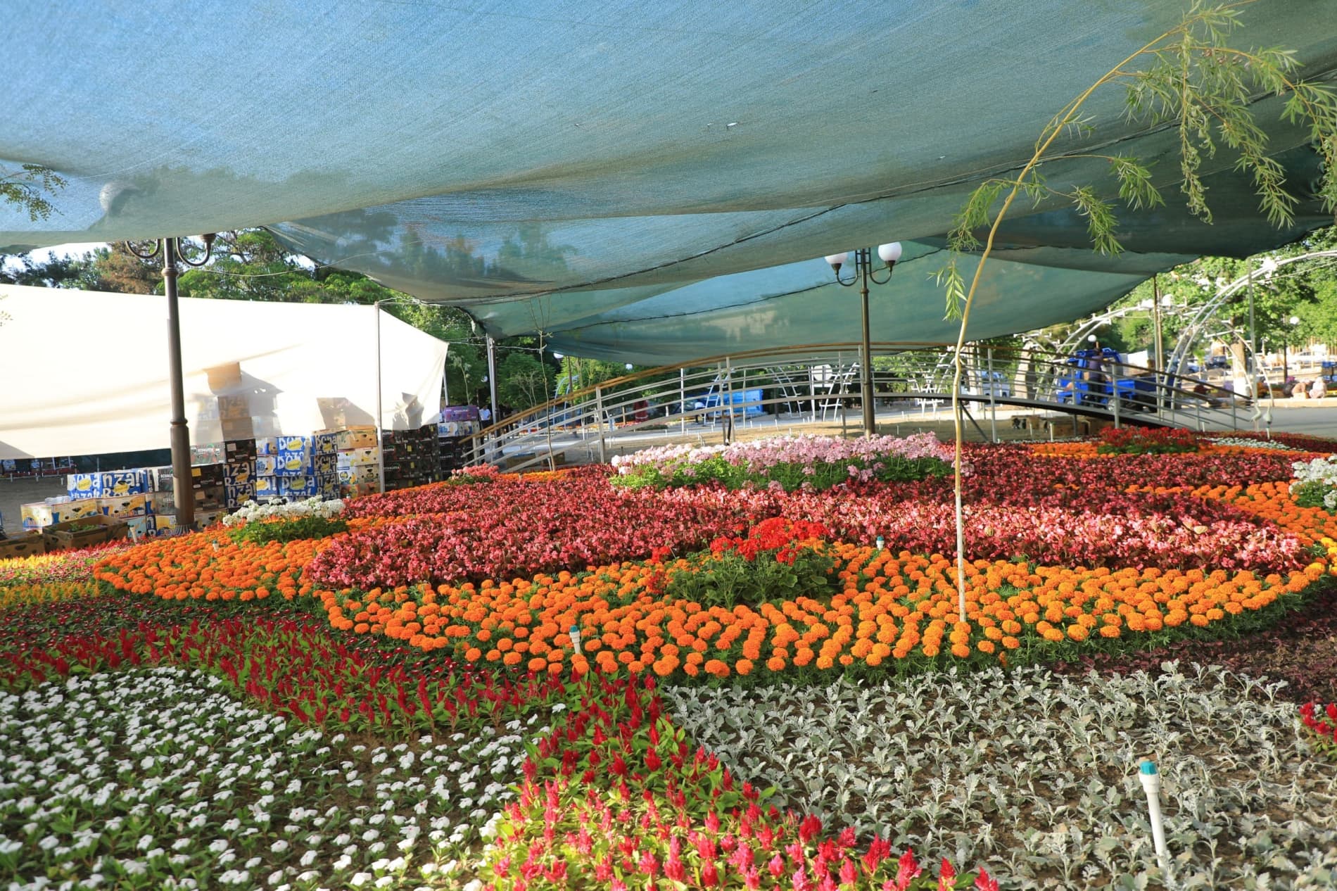 Turizm koʻchasidagi qurilishlar, festivalga tayyorgarlik ishlari oʻrganildi.