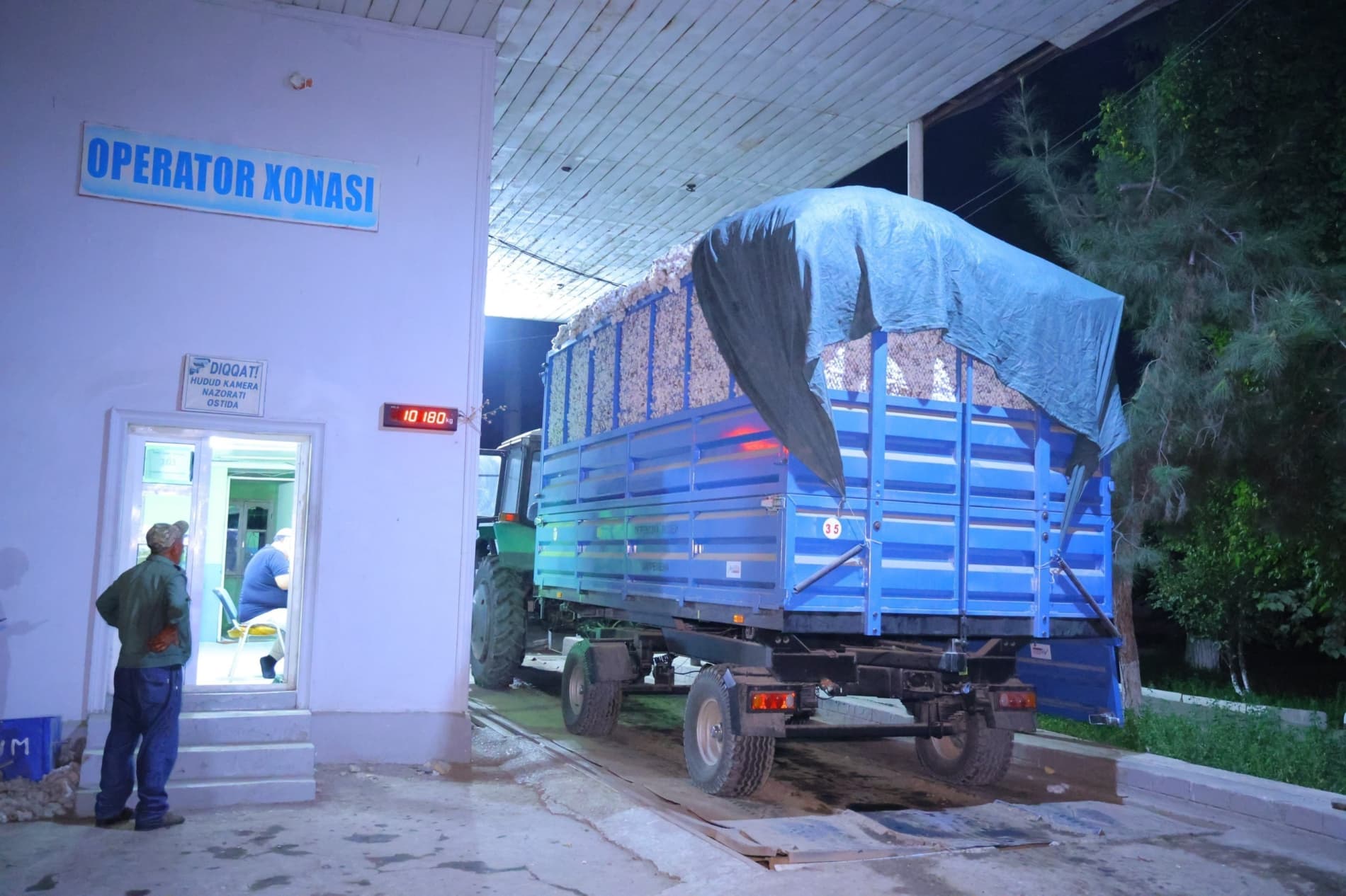 Xirmonga baraka: Namangan viloyatining labzi halol paxtakorlari rejani ortig‘i bilan bajardilar!