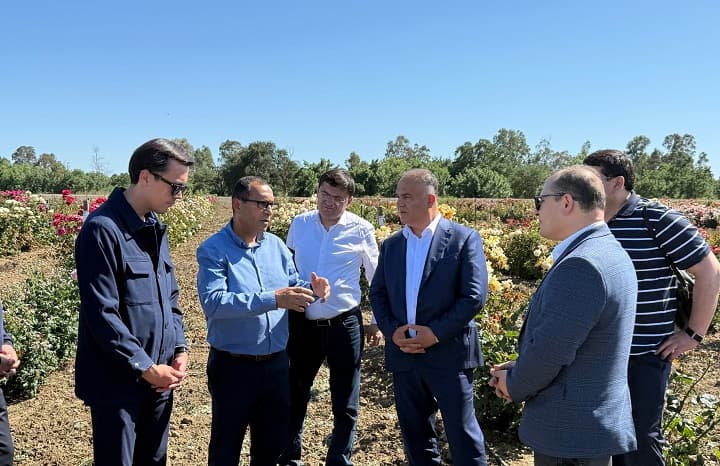 Collaboration with the scientific center called “UC Davis Foundation Plant Services” in California