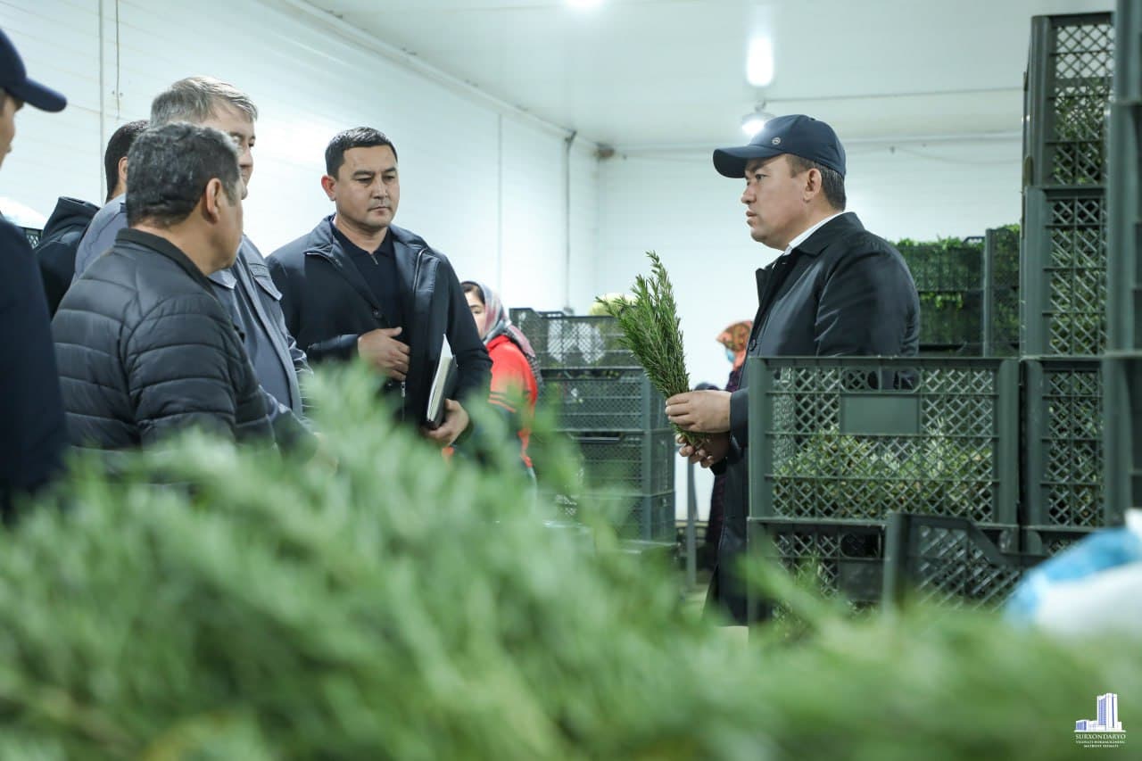 Muzrabot tumanida chorvachilik loyihasi va agrokompleks faoliyati o‘rganildi