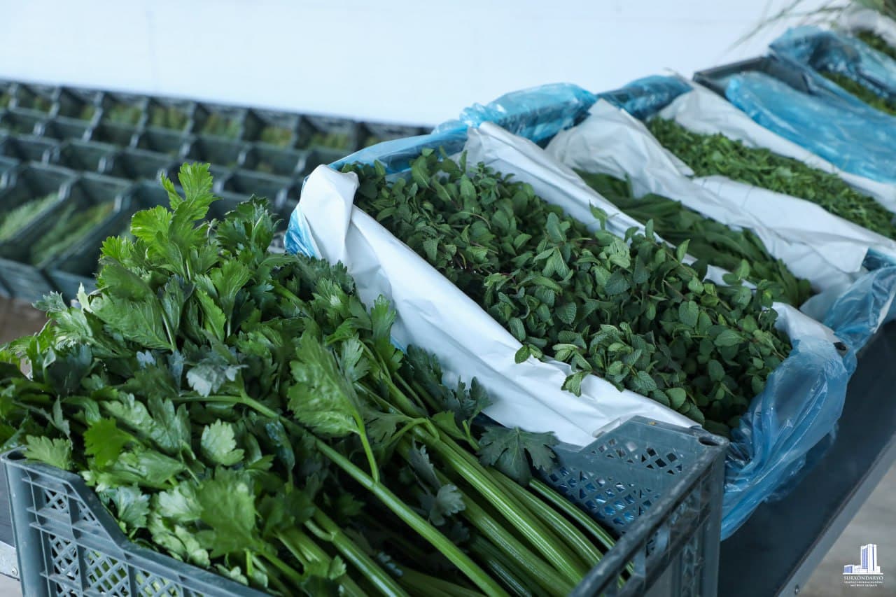 Muzrabot tumanida chorvachilik loyihasi va agrokompleks faoliyati o‘rganildi