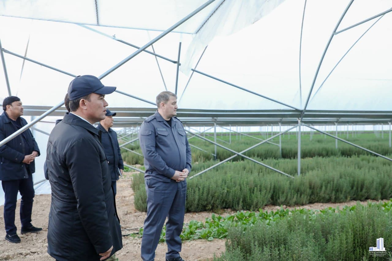 Muzrabot tumanida chorvachilik loyihasi va agrokompleks faoliyati o‘rganildi