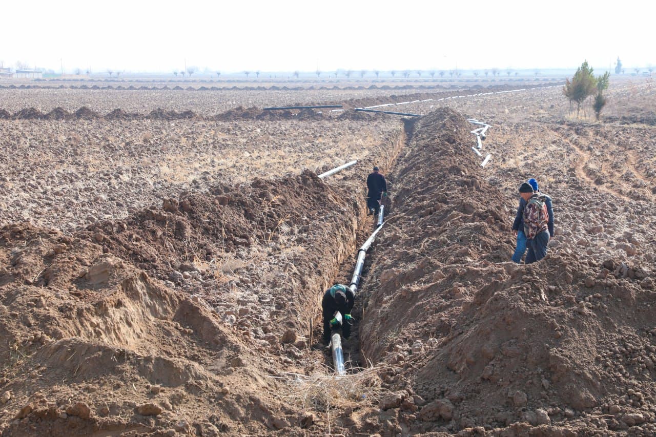 Сурхондарёда қарийб 15 минг гектар майдонда замонавий сув тежовчи технологиялар жорий этилмоқда