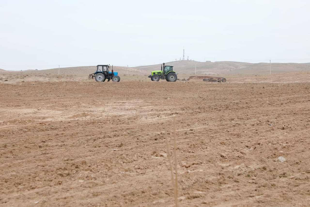 Jarqo‘rg‘onda sog‘liqni saqlash va yoshlar bilan ishlash vazifalari ijrosi o‘rganildi