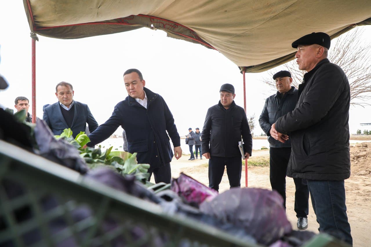 Ангорда қишлоқ хўжалиги маҳсулотлари етиштириш ва экспорт жараёнлари ўрганилди