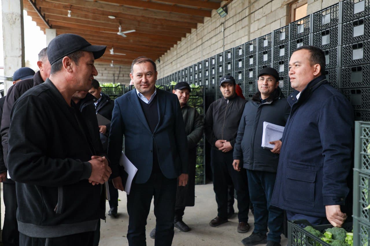 Ангорда қишлоқ хўжалиги маҳсулотлари етиштириш ва экспорт жараёнлари ўрганилди