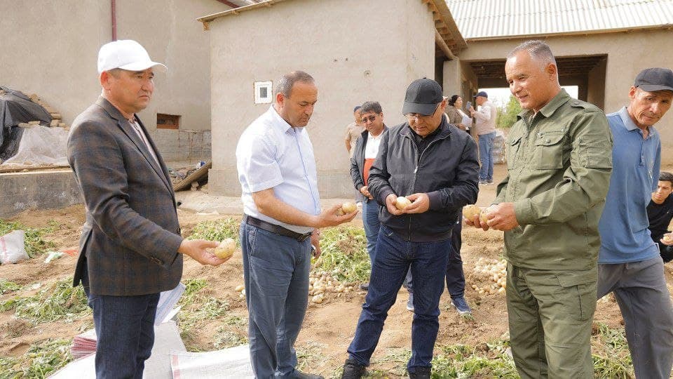 Surxondaryoda dehqonchilik yangi bosqichda: to‘rt hosilli model amalda