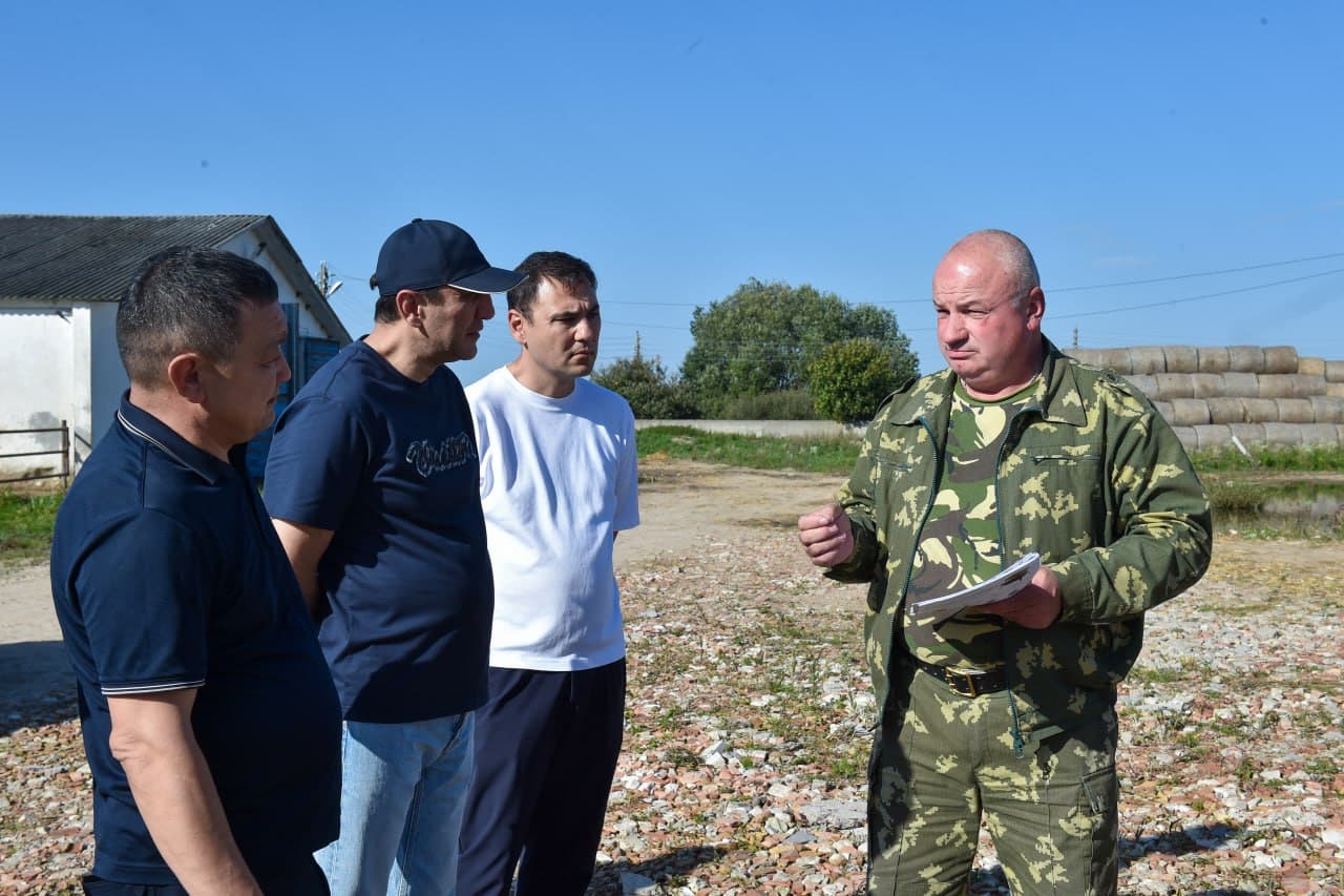 Belarusdan Surxondaryoga sifatli mol go‘shti yetkazib berish yo‘lga qo‘yilmoqda