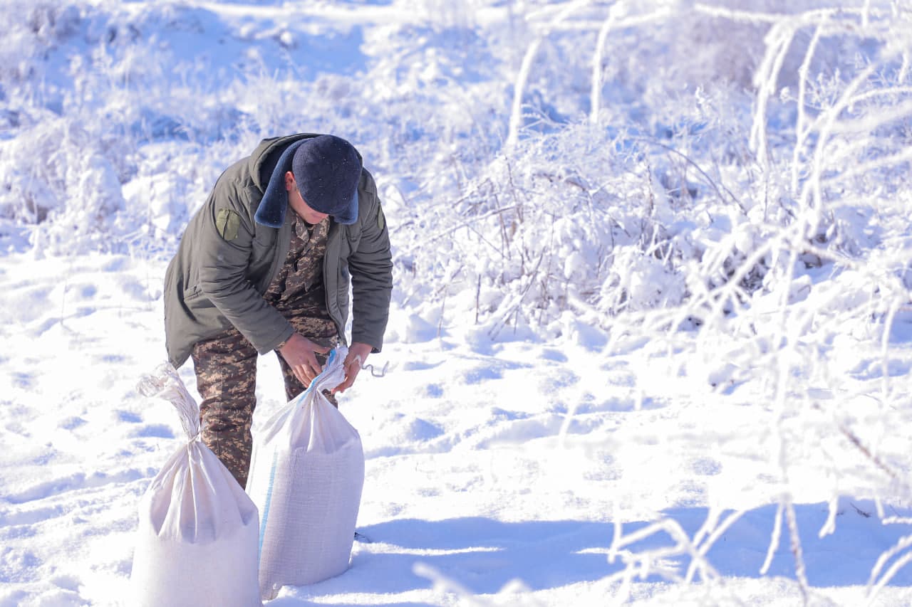 Sayxun bo‘ylarida biotexnik tadbirlar