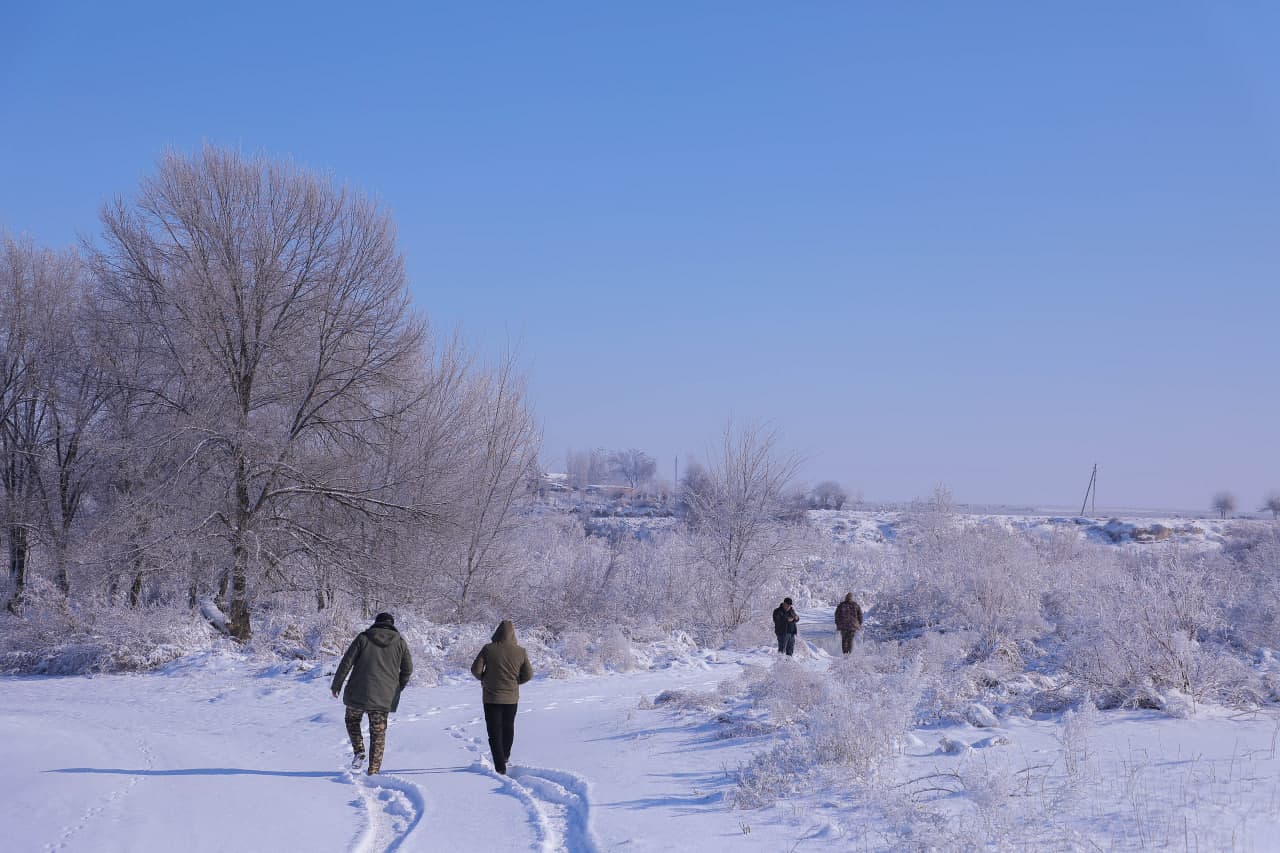 Sayxun bo‘ylarida biotexnik tadbirlar