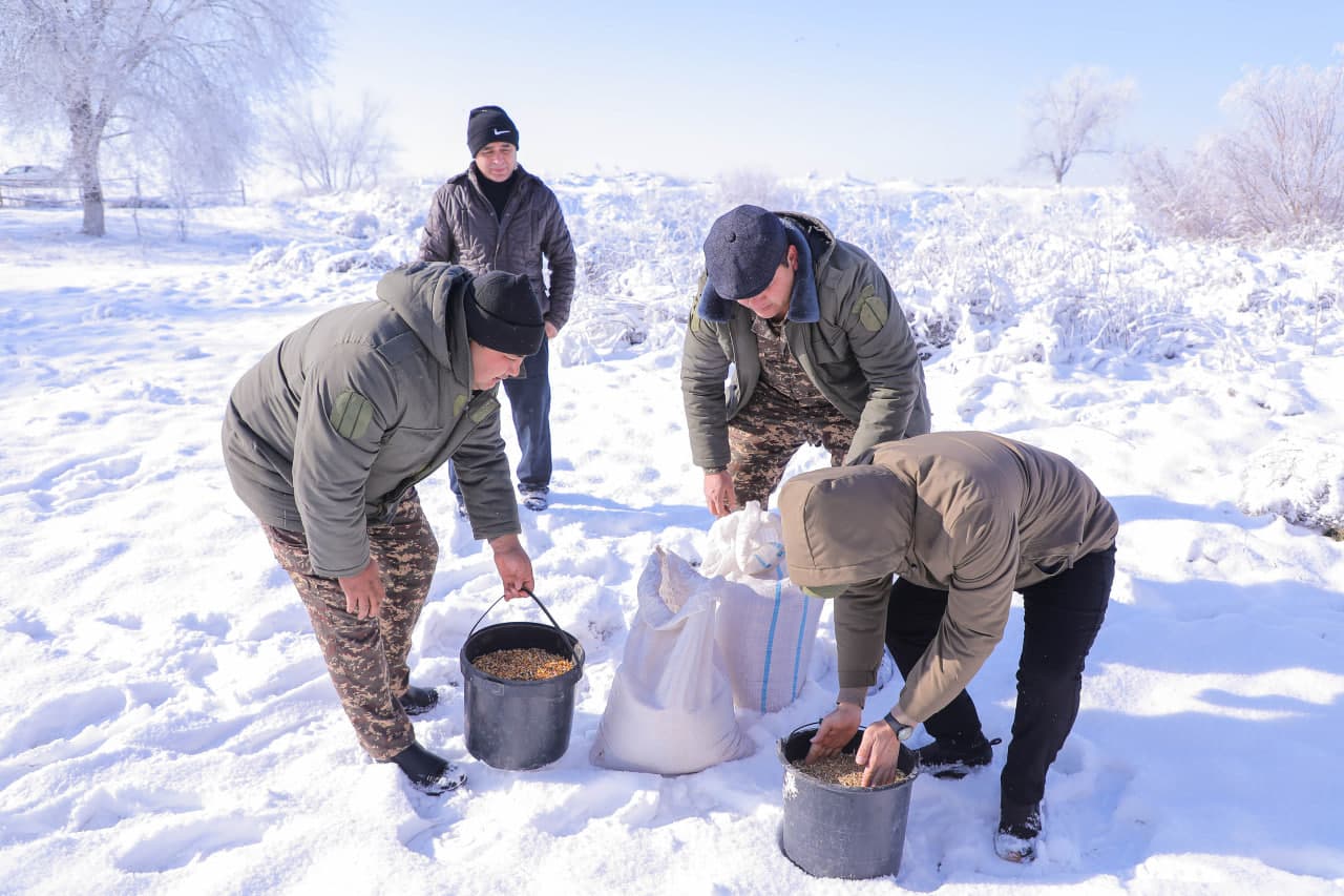 Sayxun bo‘ylarida biotexnik tadbirlar