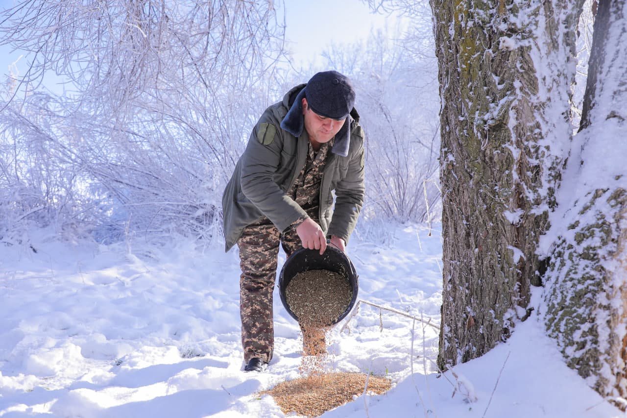 Sayxun bo‘ylarida biotexnik tadbirlar