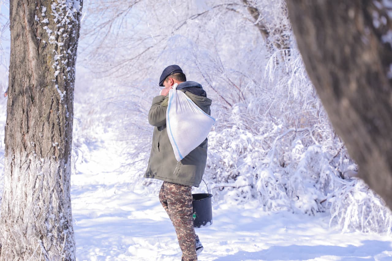Sayxun bo‘ylarida biotexnik tadbirlar