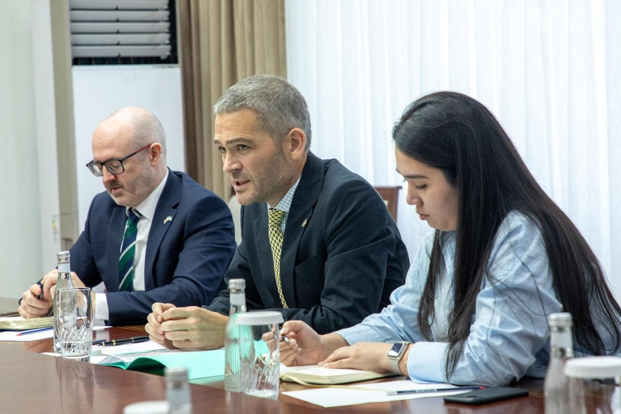 The Minister of Transport met with the British Ambassador