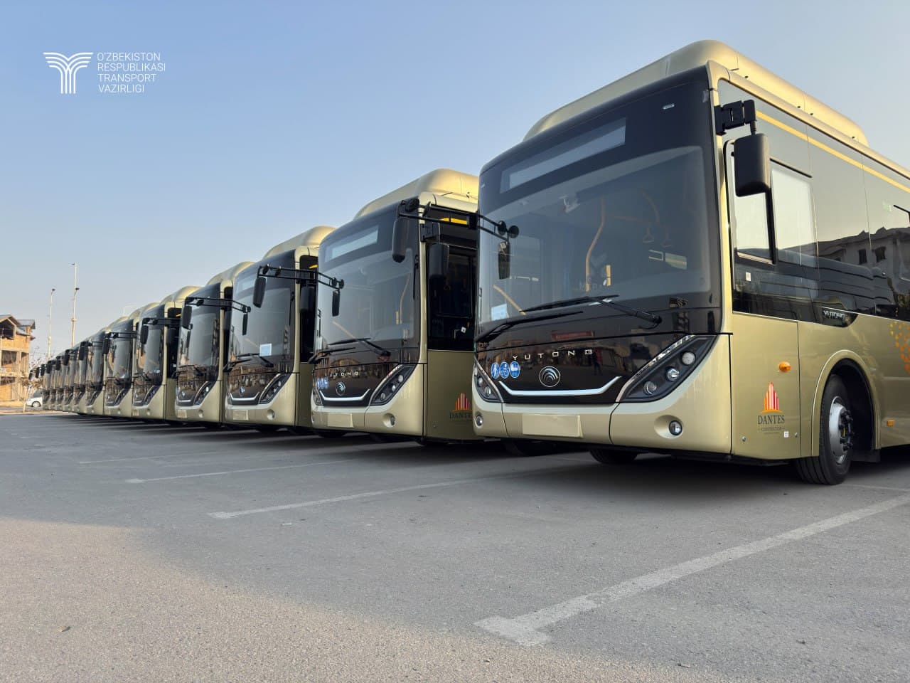 Гулистон шаҳри жамоат транспорти тўлиқ экологик тоза автобуслар билан янгиланди