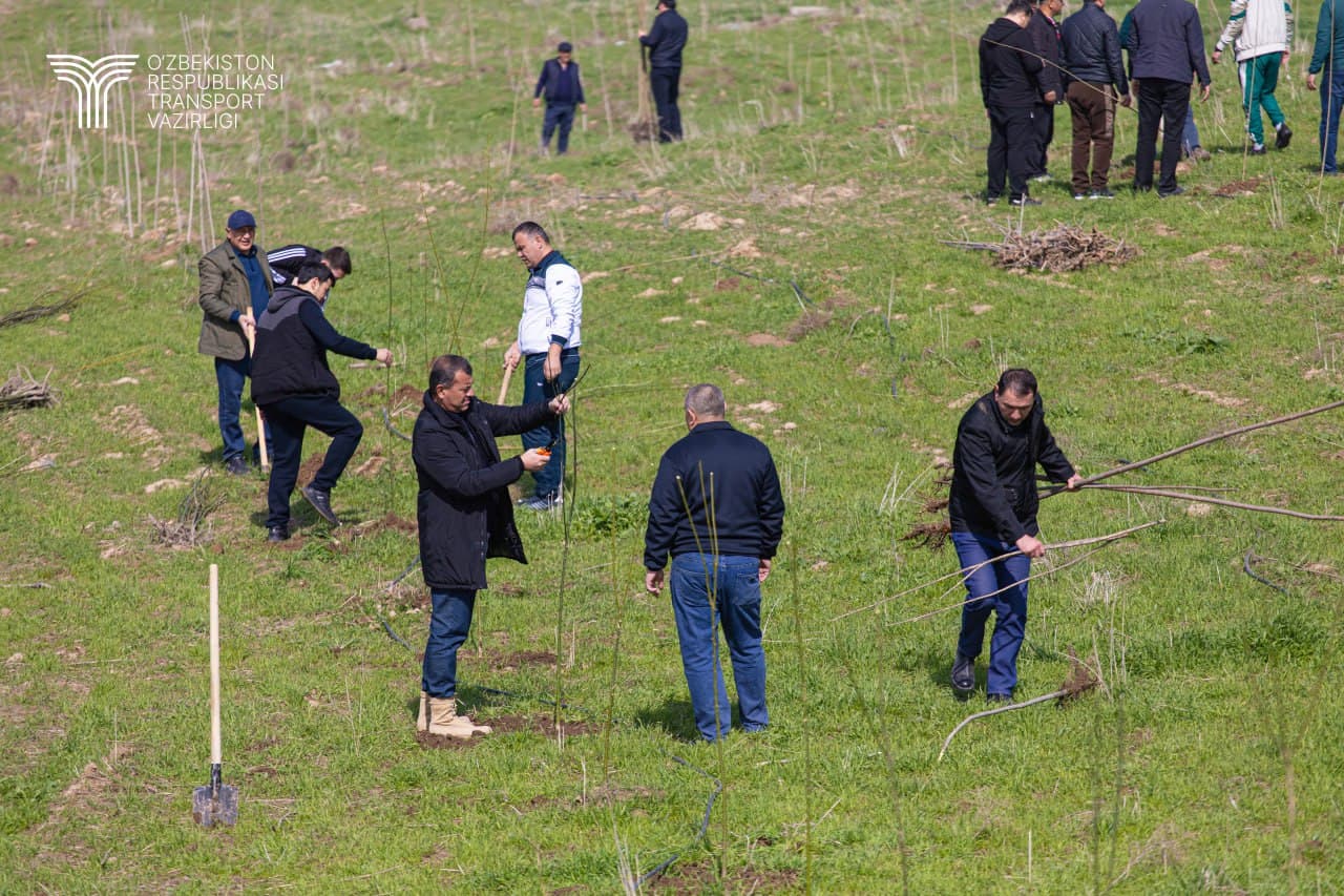 Hashar hamjihatlik, obodlik va yaratuvchanlik ramzi