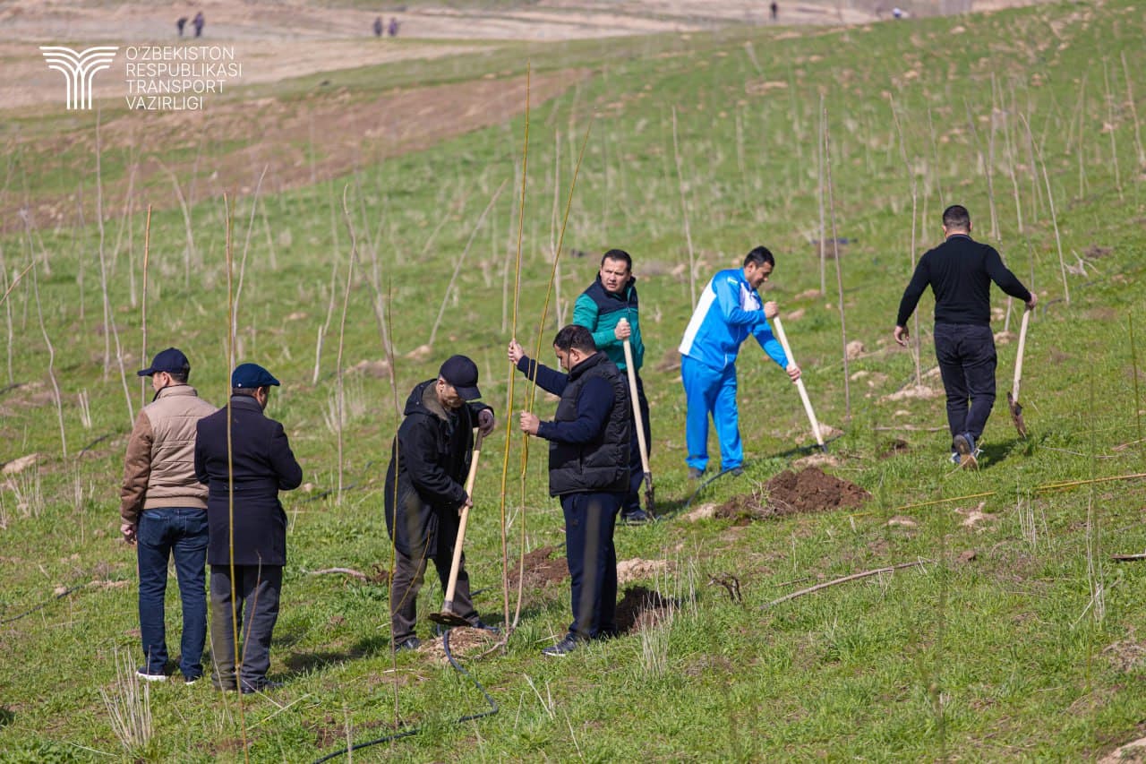 Hashar hamjihatlik, obodlik va yaratuvchanlik ramzi