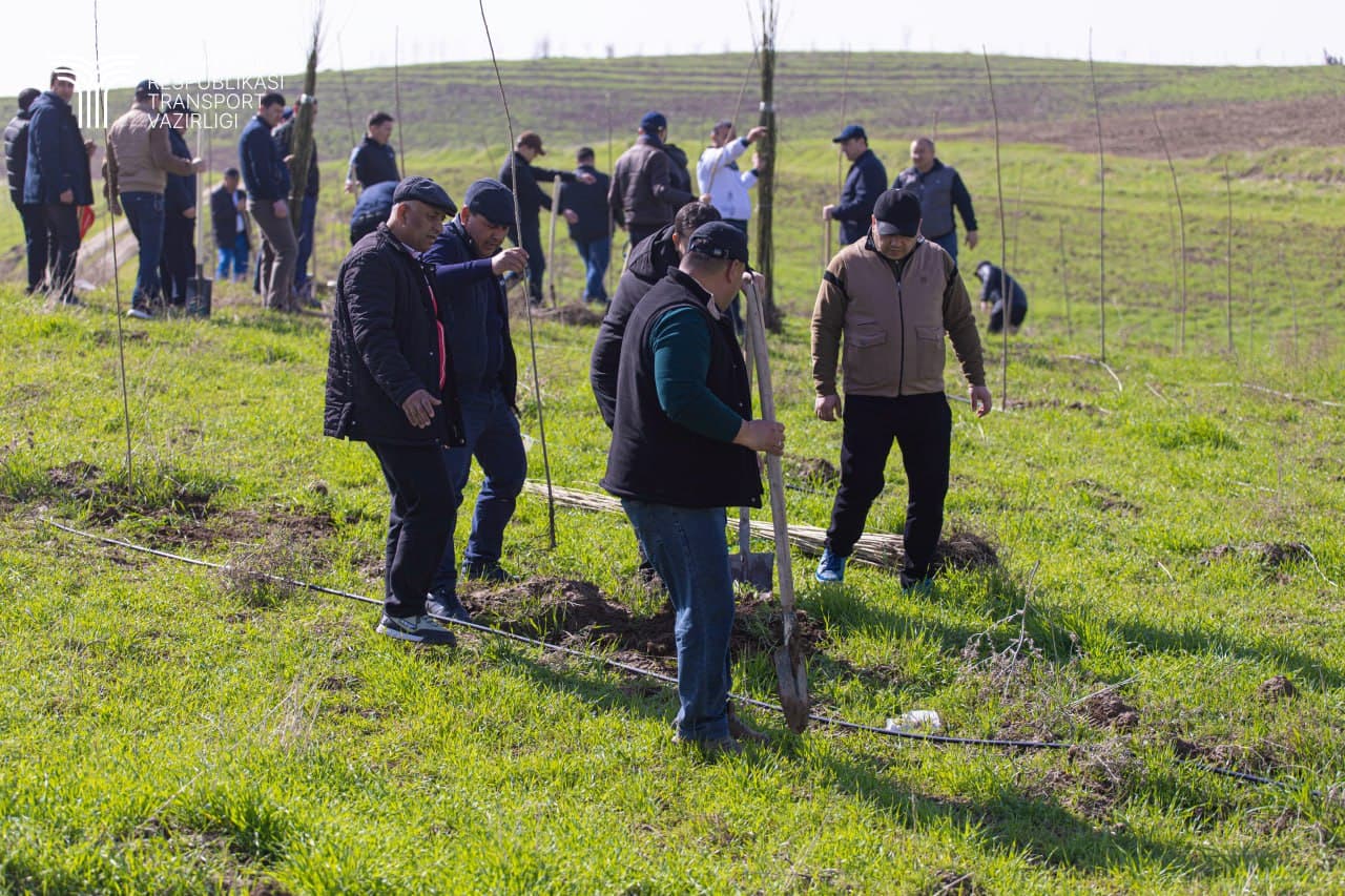 Hashar hamjihatlik, obodlik va yaratuvchanlik ramzi