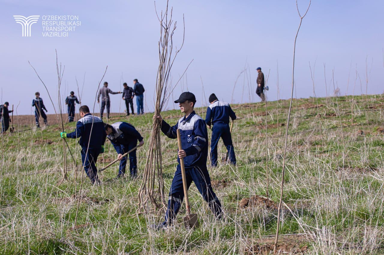 Hashar hamjihatlik, obodlik va yaratuvchanlik ramzi