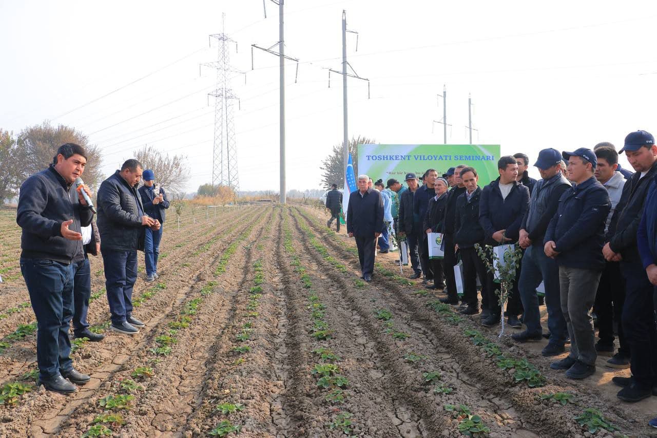 Fermerlar uchun nazariy bilim va amaliy tajribalar