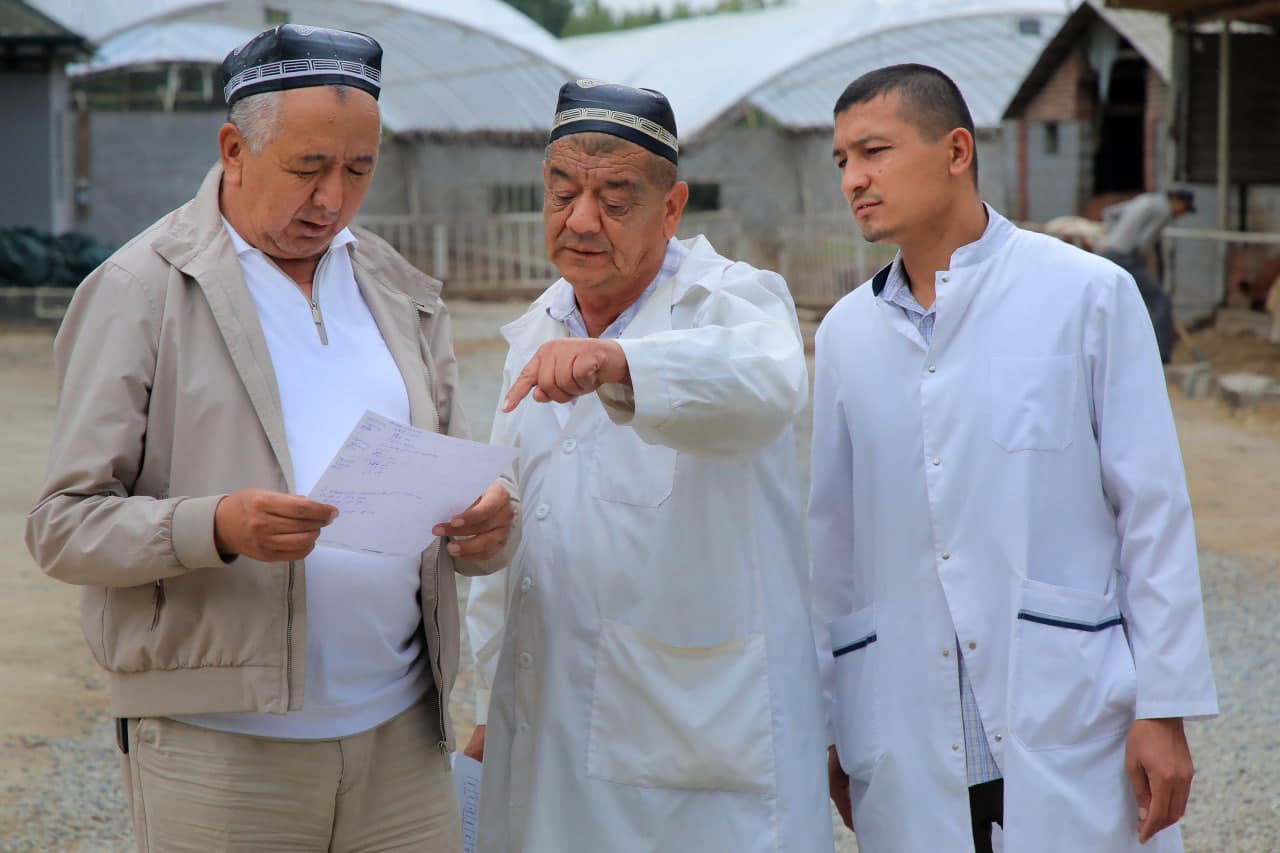 Ёзёвонда чорвачилик истиқболлари кенгаймоқда