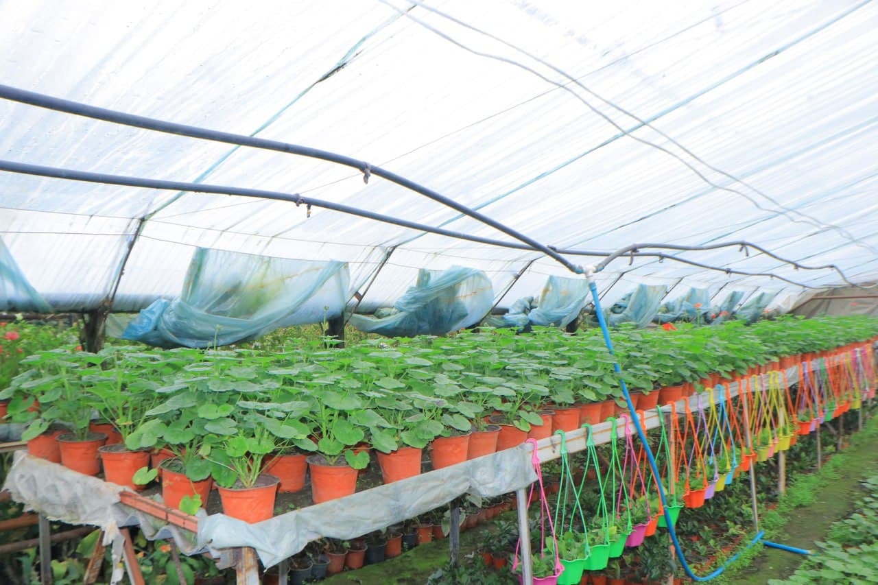 Ҳар қарич ер — даромад манбаи: “Собиржон” маҳалласи тажрибаси