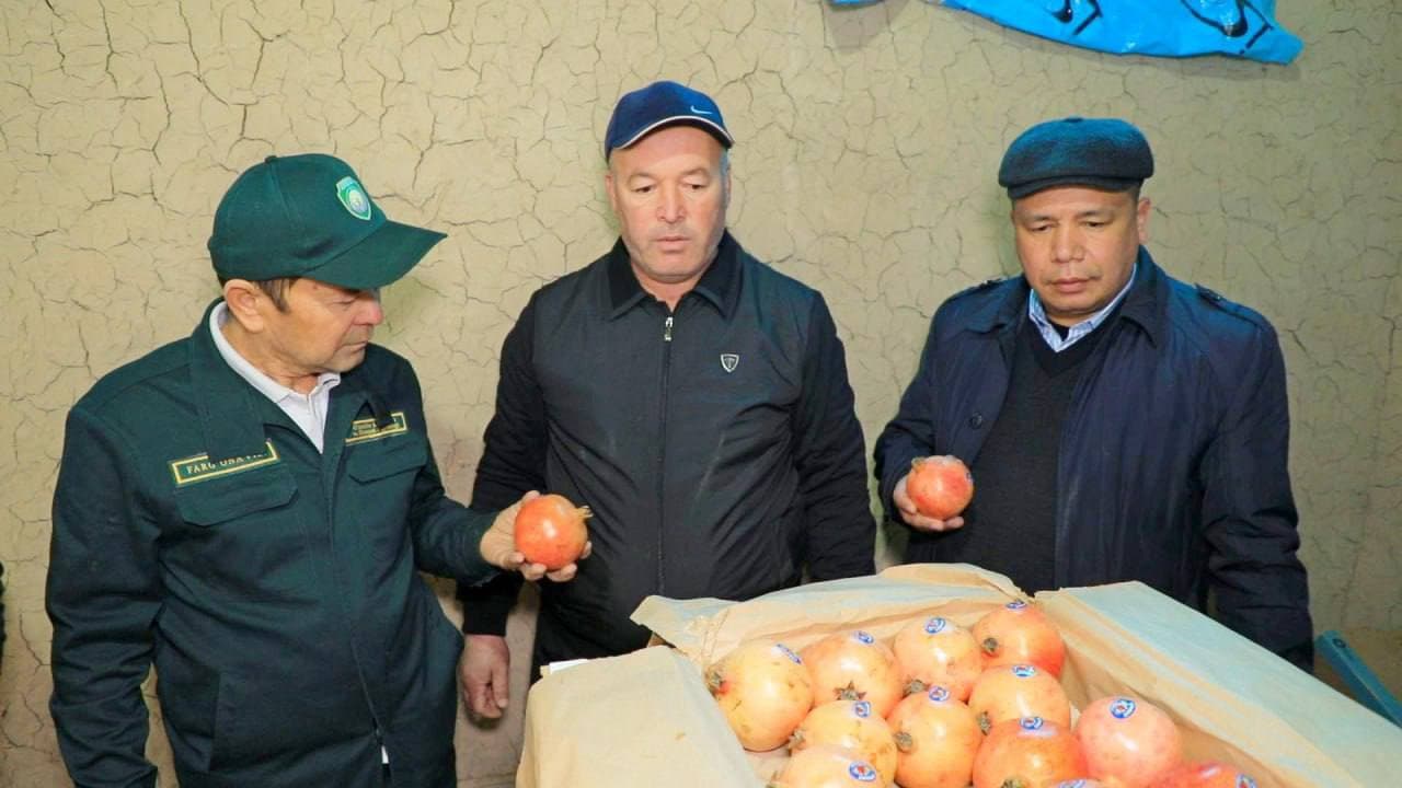 Фарғоналик анорчилар қишда ҳам табиий мева билан жаҳон бозорларига чиқмоқда