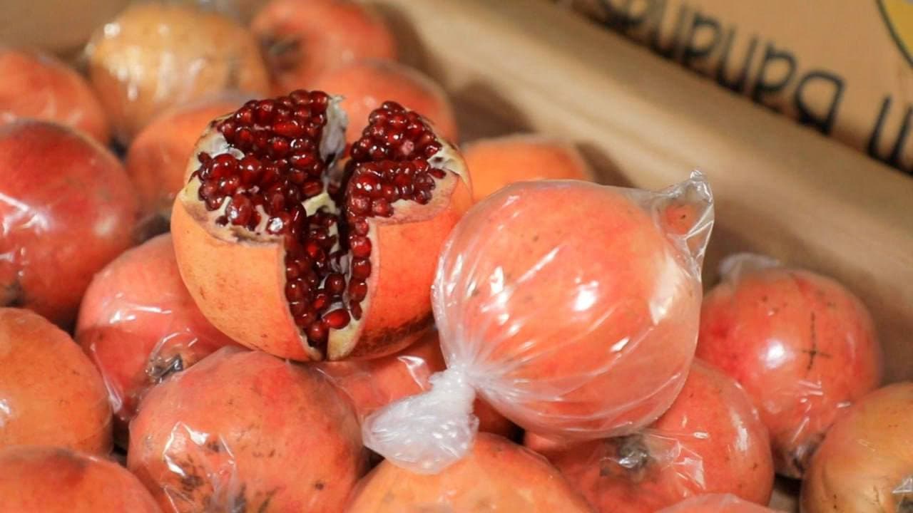 Фарғоналик анорчилар қишда ҳам табиий мева билан жаҳон бозорларига чиқмоқда