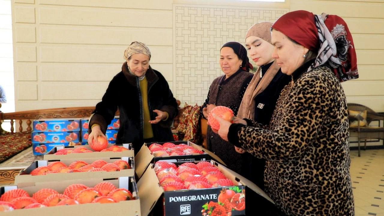 Фарғоналик анорчилар қишда ҳам табиий мева билан жаҳон бозорларига чиқмоқда