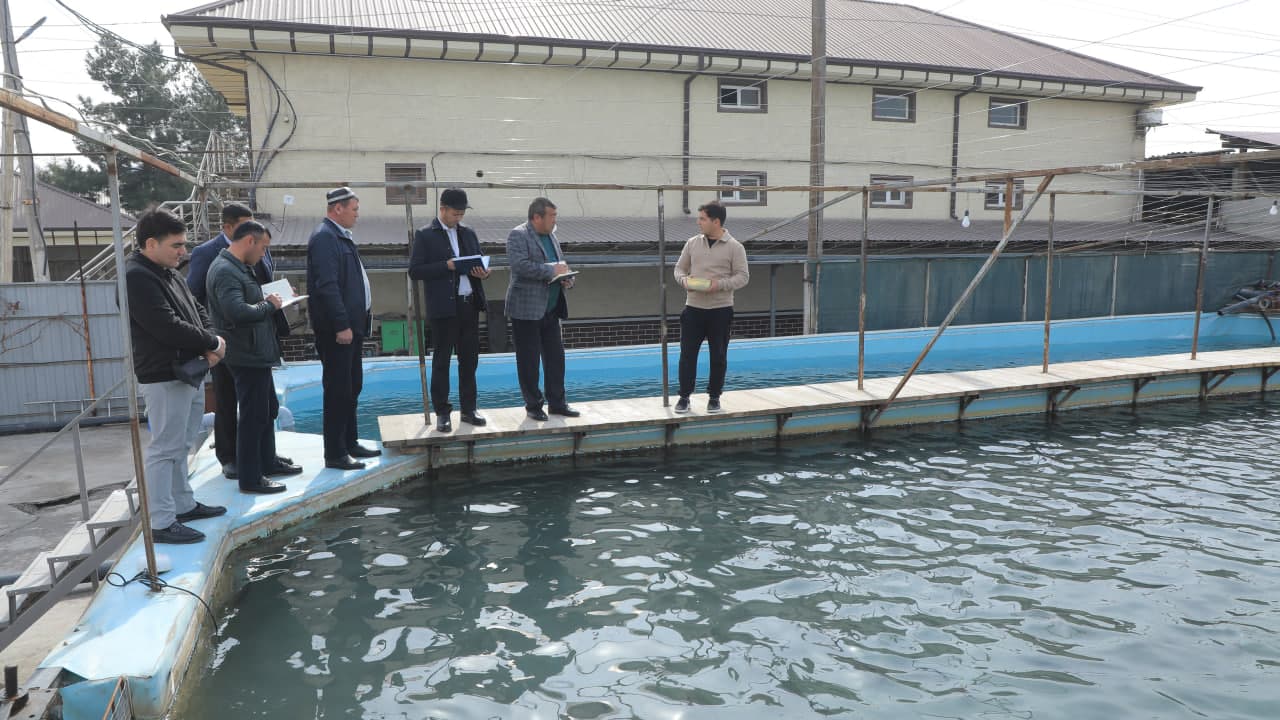 Farg‘onada chorvachilik tarmoqlarini rivojlantirishda muhim loyihalar amalga oshirilmoqda