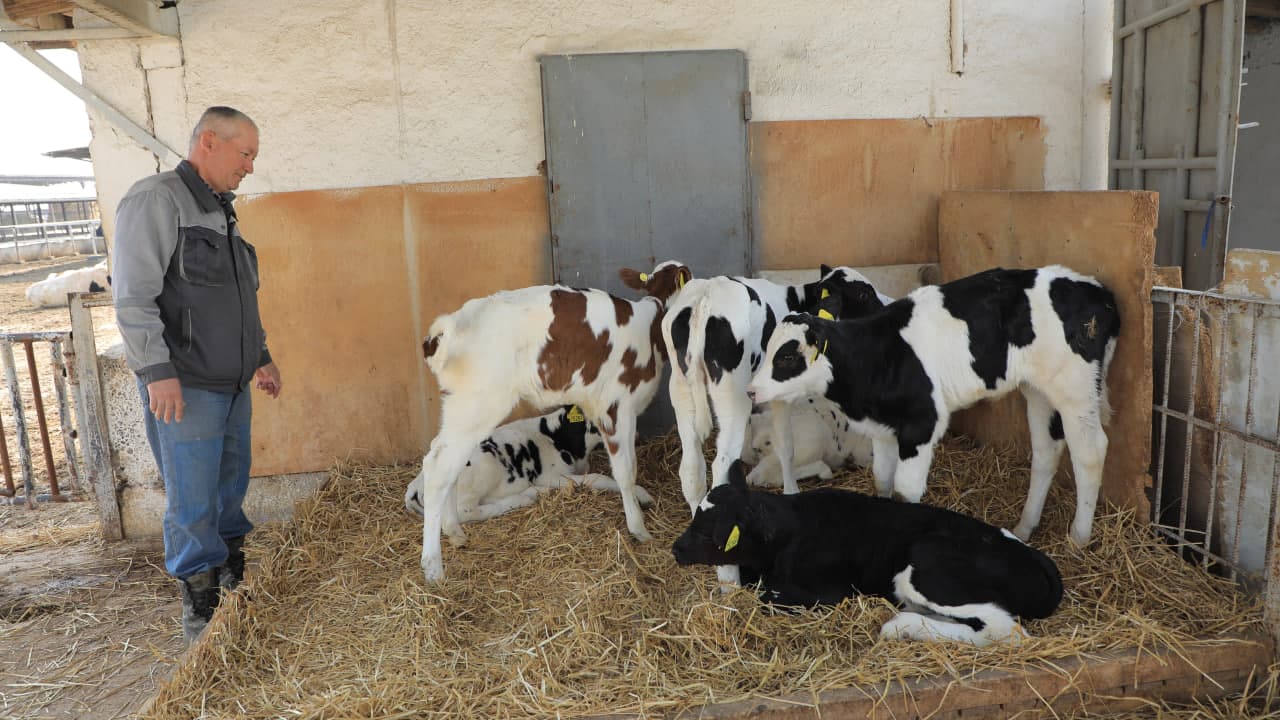 Farg‘onada chorvachilik tarmoqlarini rivojlantirishda muhim loyihalar amalga oshirilmoqda