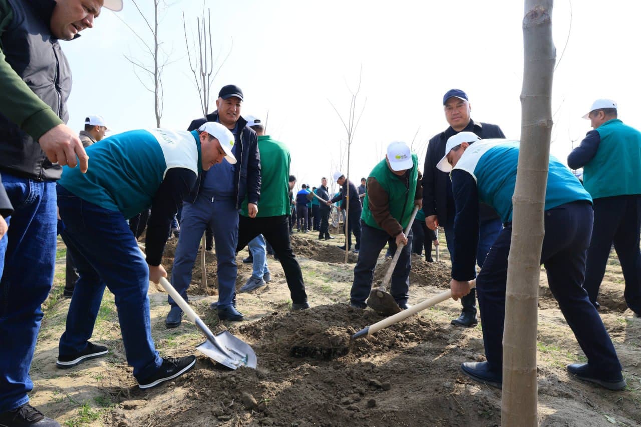 Ёзёвон туманидаги “Янги Ўзбекистон” массиви ҳудудида кенг кўламли кўчат экиш тадбири ташкил этилди