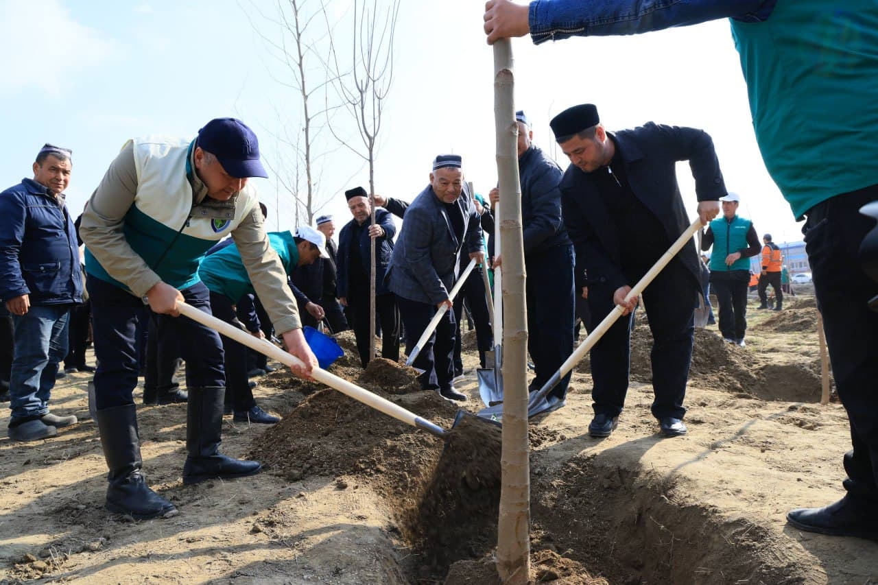 Ёзёвон туманидаги “Янги Ўзбекистон” массиви ҳудудида кенг кўламли кўчат экиш тадбири ташкил этилди
