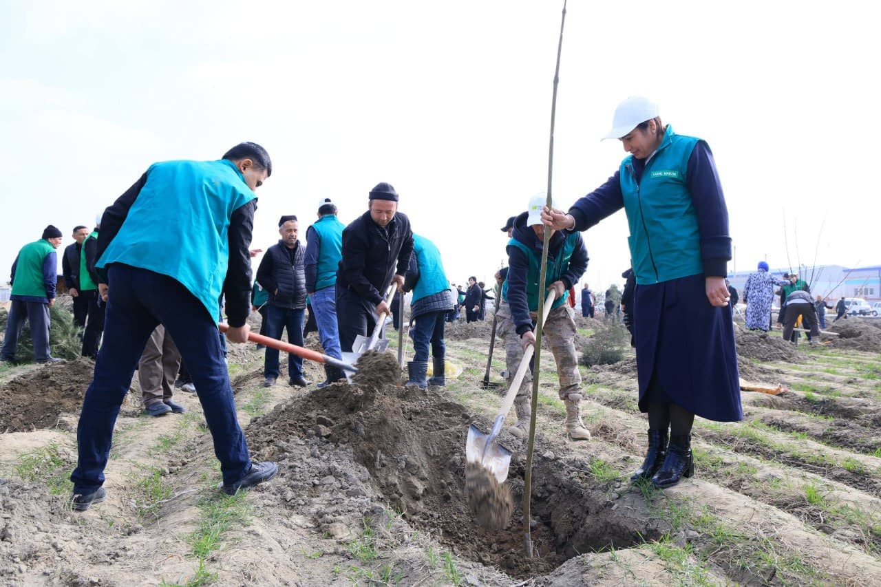 Ёзёвон туманидаги “Янги Ўзбекистон” массиви ҳудудида кенг кўламли кўчат экиш тадбири ташкил этилди