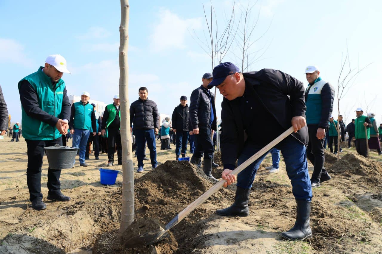Ёзёвон туманидаги “Янги Ўзбекистон” массиви ҳудудида кенг кўламли кўчат экиш тадбири ташкил этилди