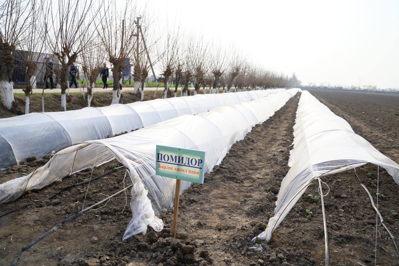 Qishloq xo‘jaligida yuksak marralar ko‘zlanmoqda