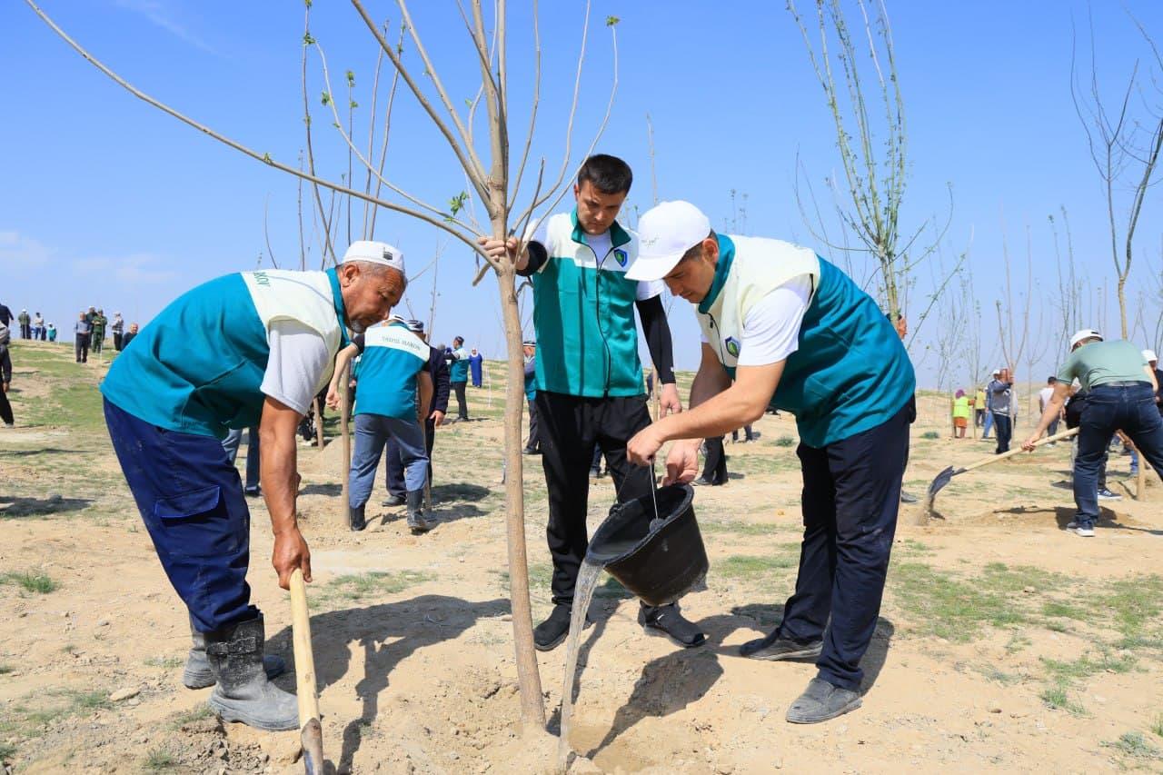 Every Tree Planted with Good Intent is Life, Clean Air, a Healthy Environment, and the Future