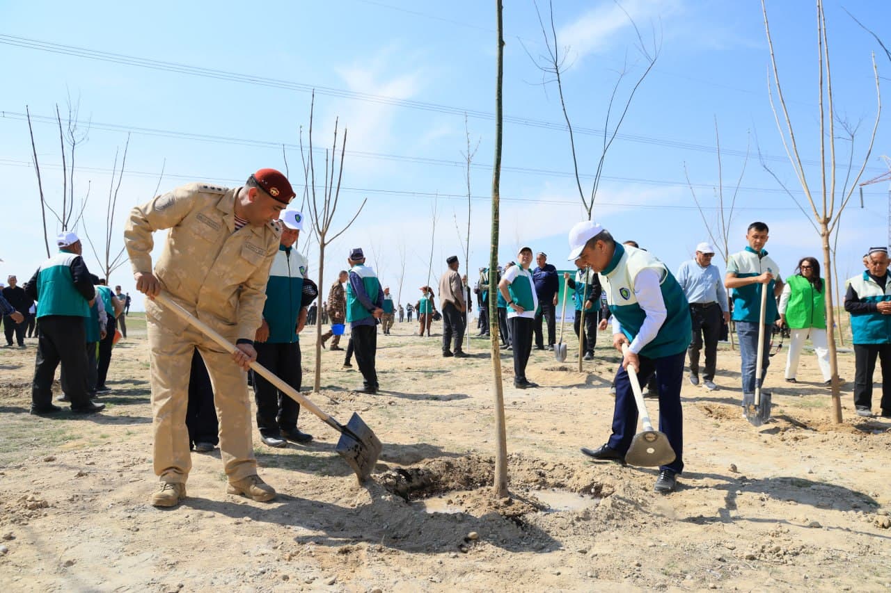 Every Tree Planted with Good Intent is Life, Clean Air, a Healthy Environment, and the Future