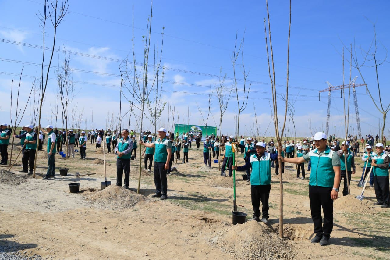 Every Tree Planted with Good Intent is Life, Clean Air, a Healthy Environment, and the Future