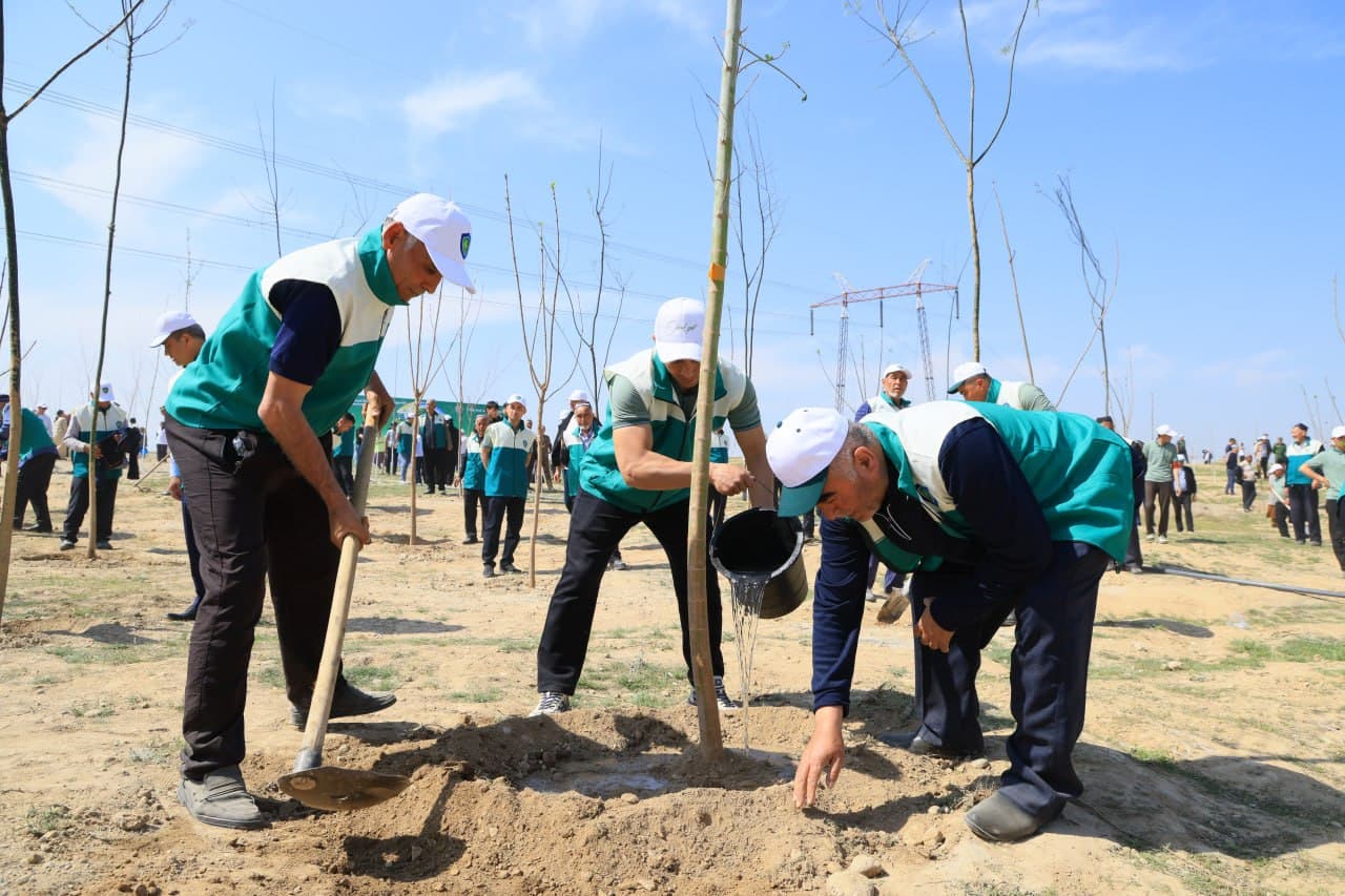 Every Tree Planted with Good Intent is Life, Clean Air, a Healthy Environment, and the Future