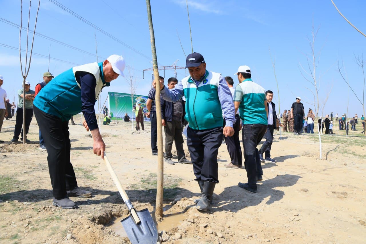 Every Tree Planted with Good Intent is Life, Clean Air, a Healthy Environment, and the Future